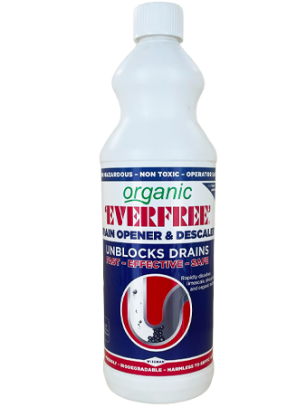 Everfree - Image 3