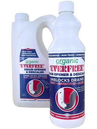 Everfree